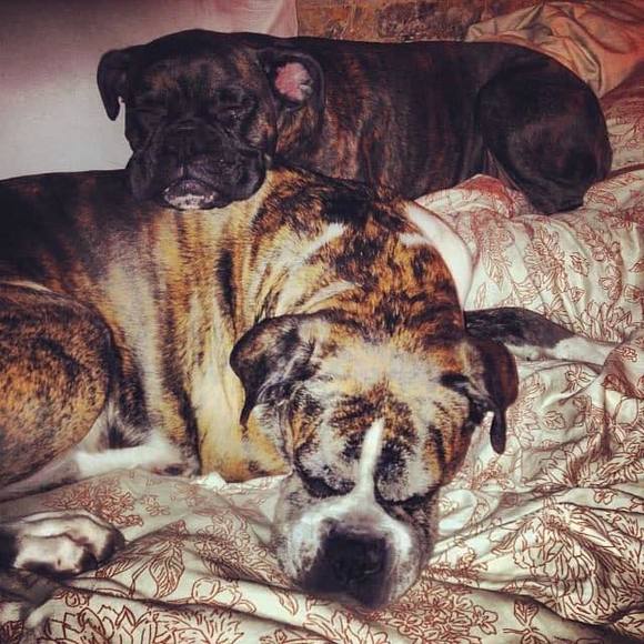 Meet the Posher Other - Meet your Posher, Alexander